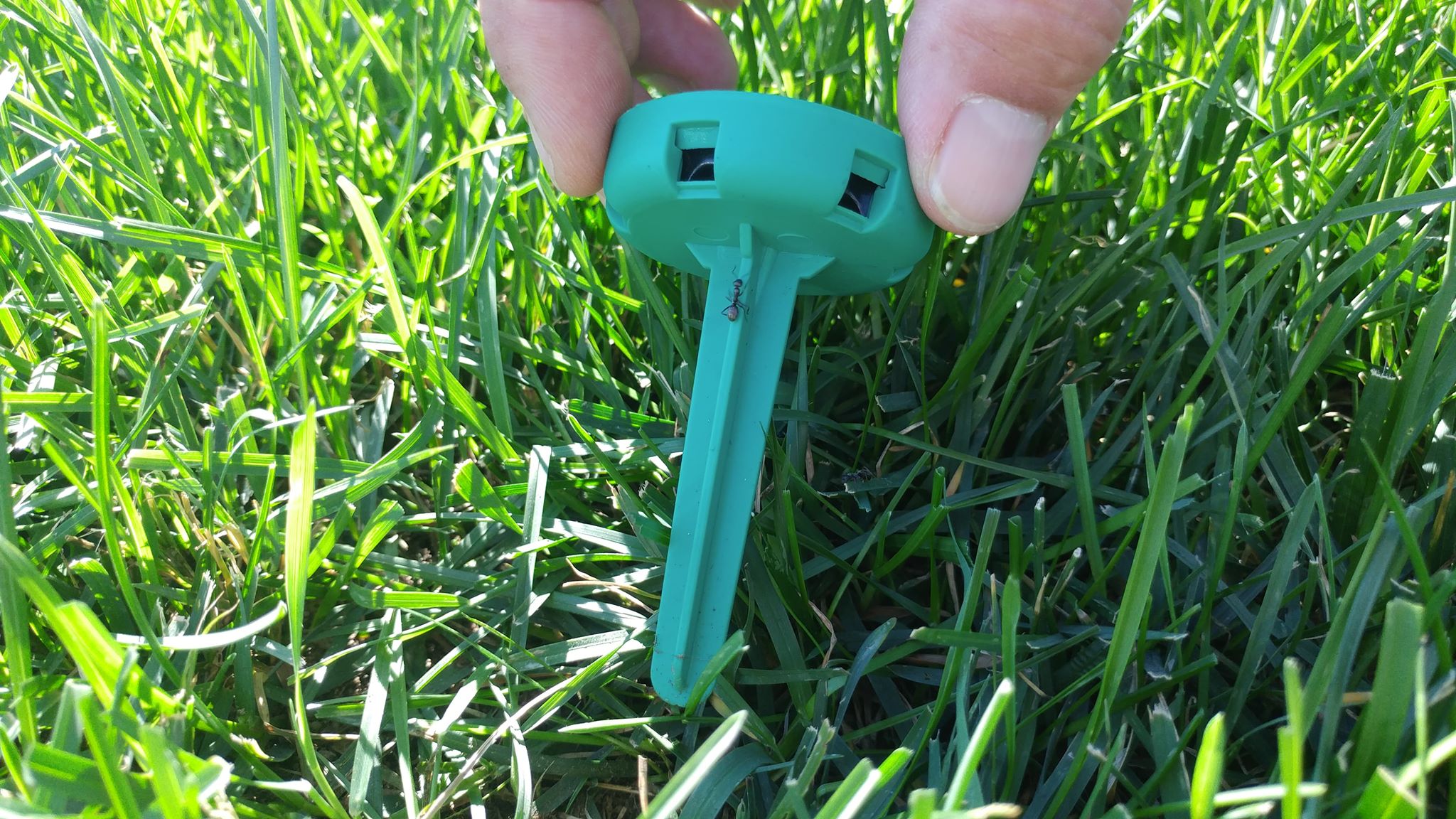 AntOut® Outdoor Ant Stakes